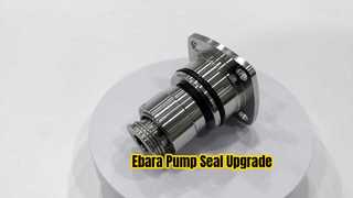 Ebara Pump Mechanical Seal Eb-b-16 Tc ซีลซิลิคอน